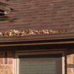 The Hidden Costs Of Letting Gutter Issues Linger