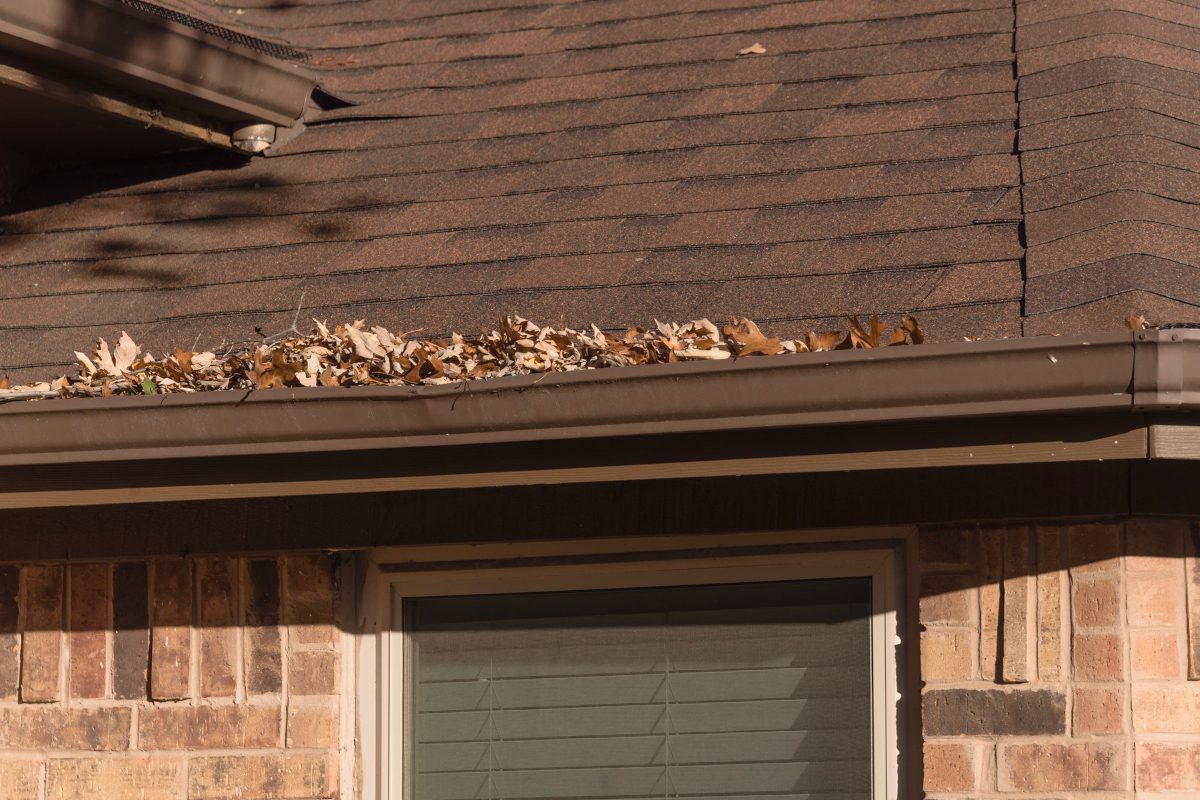 The Hidden Costs Of Letting Gutter Issues Linger