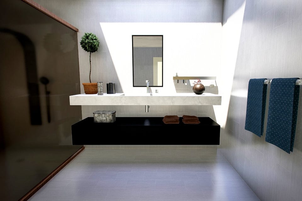 Black And White Bathroom Painting in Plano Texas